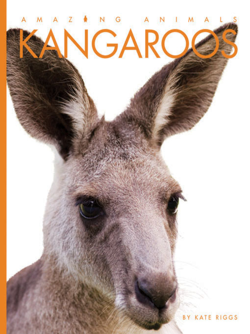 Title details for Kangaroos by Kate Riggs - Available